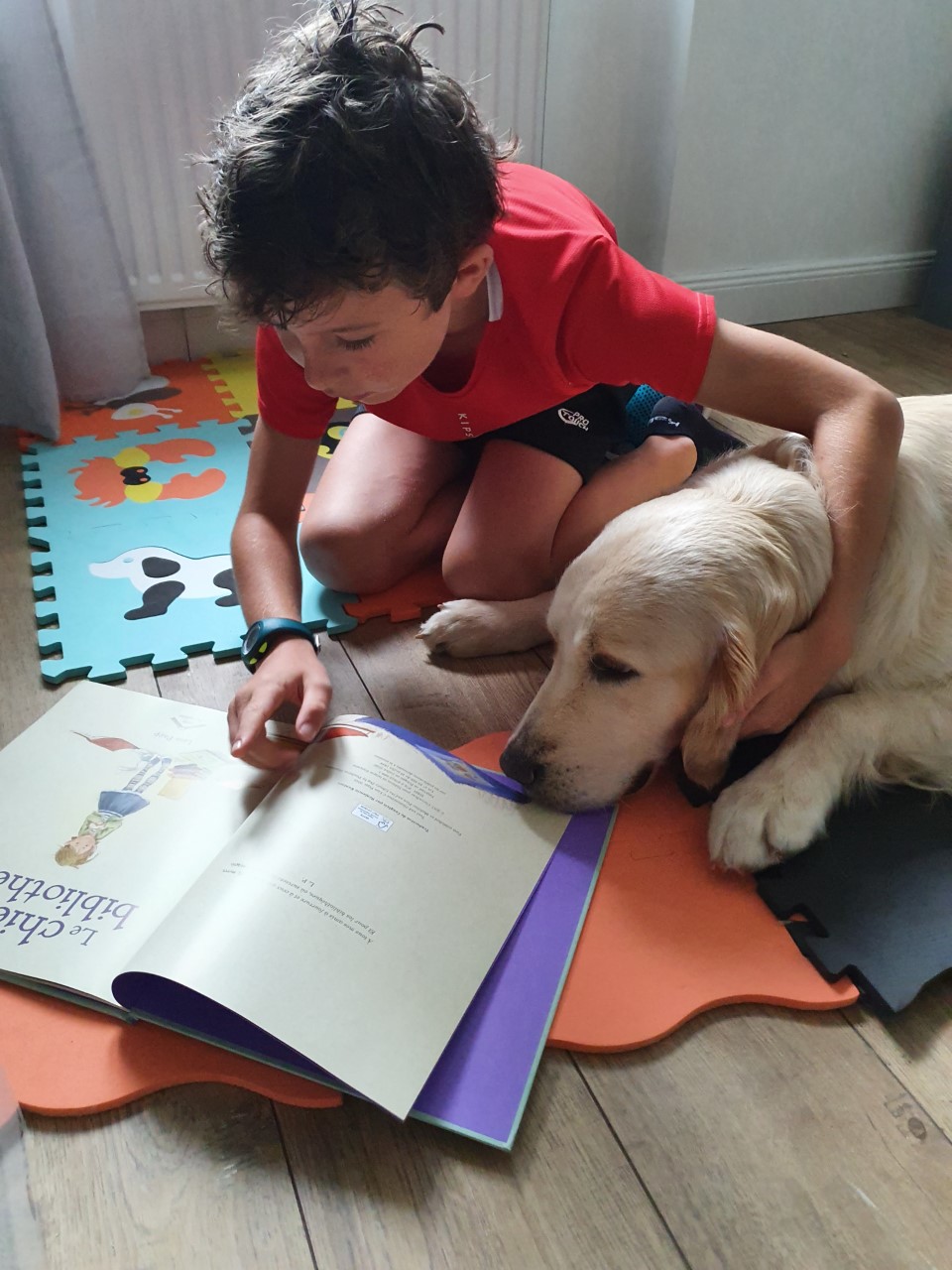 Séance de lecture avec le chien