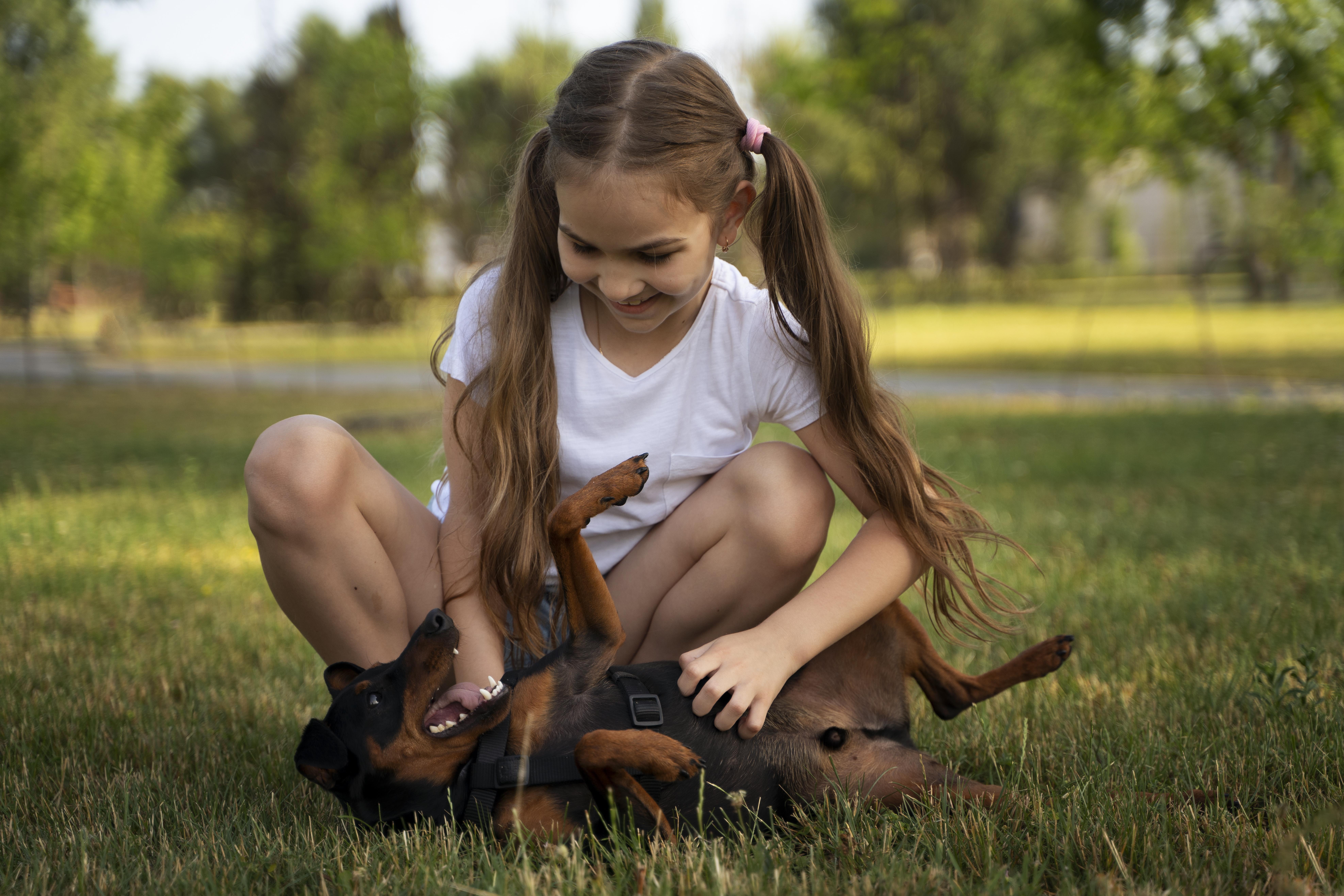 Le chien de soutien émotionnel permet aux personnes autistes ou souffrant de troubles psychiques à s'apaiser, se reconnecter à soi, gagner en confiance et retrouver une vie sociale épanouissante